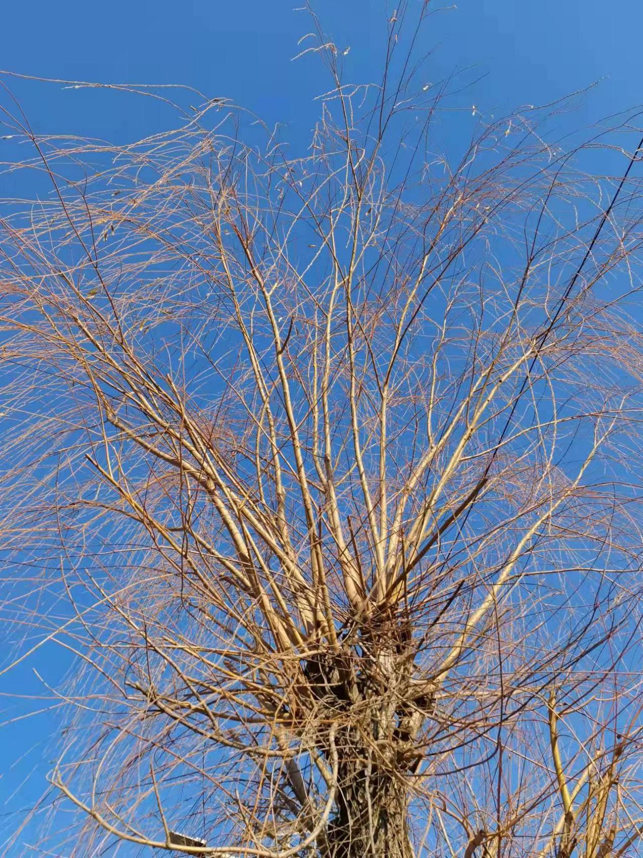 微信图片_20211218151150