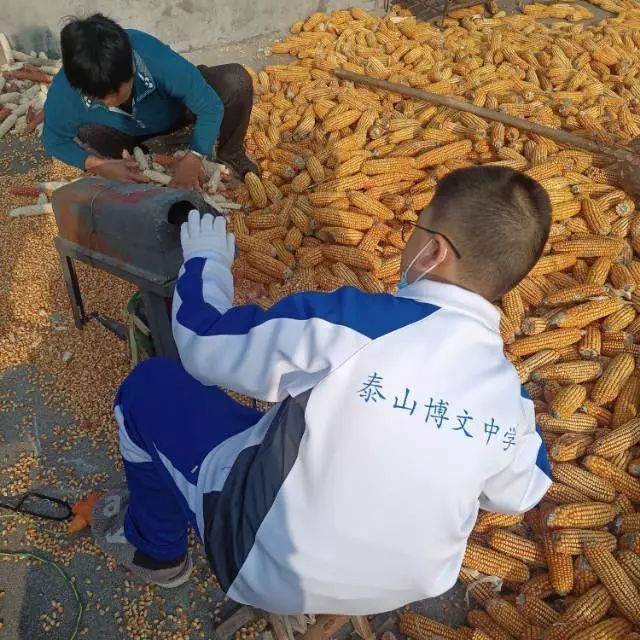 张瑞祺_3