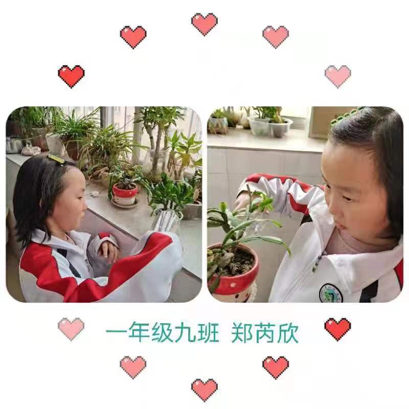 d4697a47e9662dd4ea1e59dbb1c346f